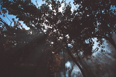 p2